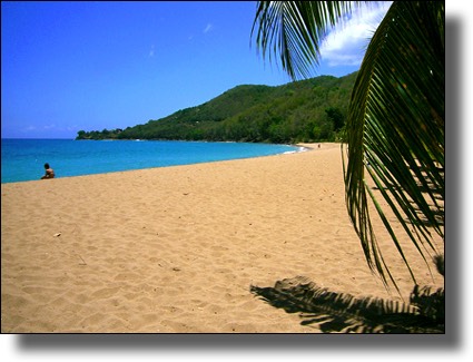 Beach at Grande Anse, Guadeloupe, French, Caribbean, Island