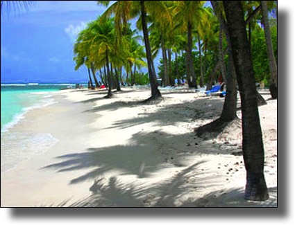 Plage, Beach, Guadeloupe, French, Caribbean, Island