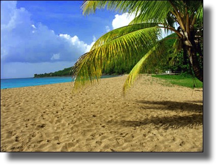 Grande Anse, Guadeloupe, French, Caribbean, Island