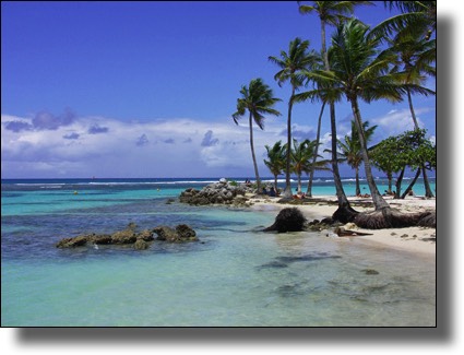 Ste-Anne Beach, Guadeloupe, French, Caribbean, Island