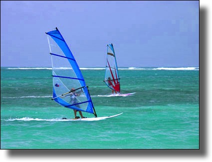 Windsurfers, water sports, Guadeloupe, French, Caribbean, Island