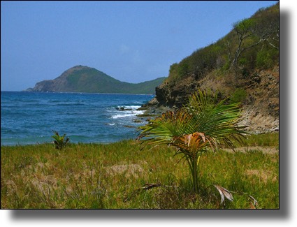 Anse, Les Saintes, Iles des Saintes, Guadeloupe