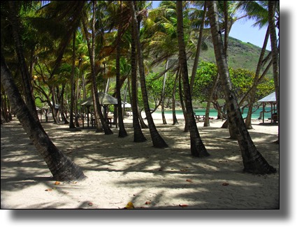 Plage, Beach, Cocoterie, Les Saintes, Iles des Saintes, Guadeloupe