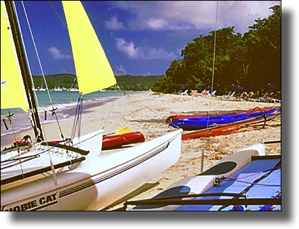 Hobie Cat, windsurfing, sports, Marie-Galante, Guadeloupe, French West Indies, Caribbean Island